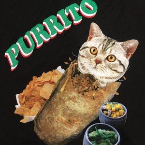 Purrito Cat In A Burrito Mens XL Black T-Shirt